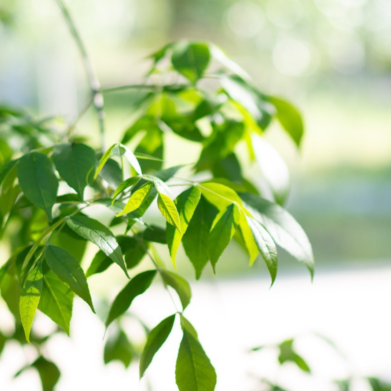 Отзывы. Семейный и детский фотограф в Атырау Доскалиев Ринат