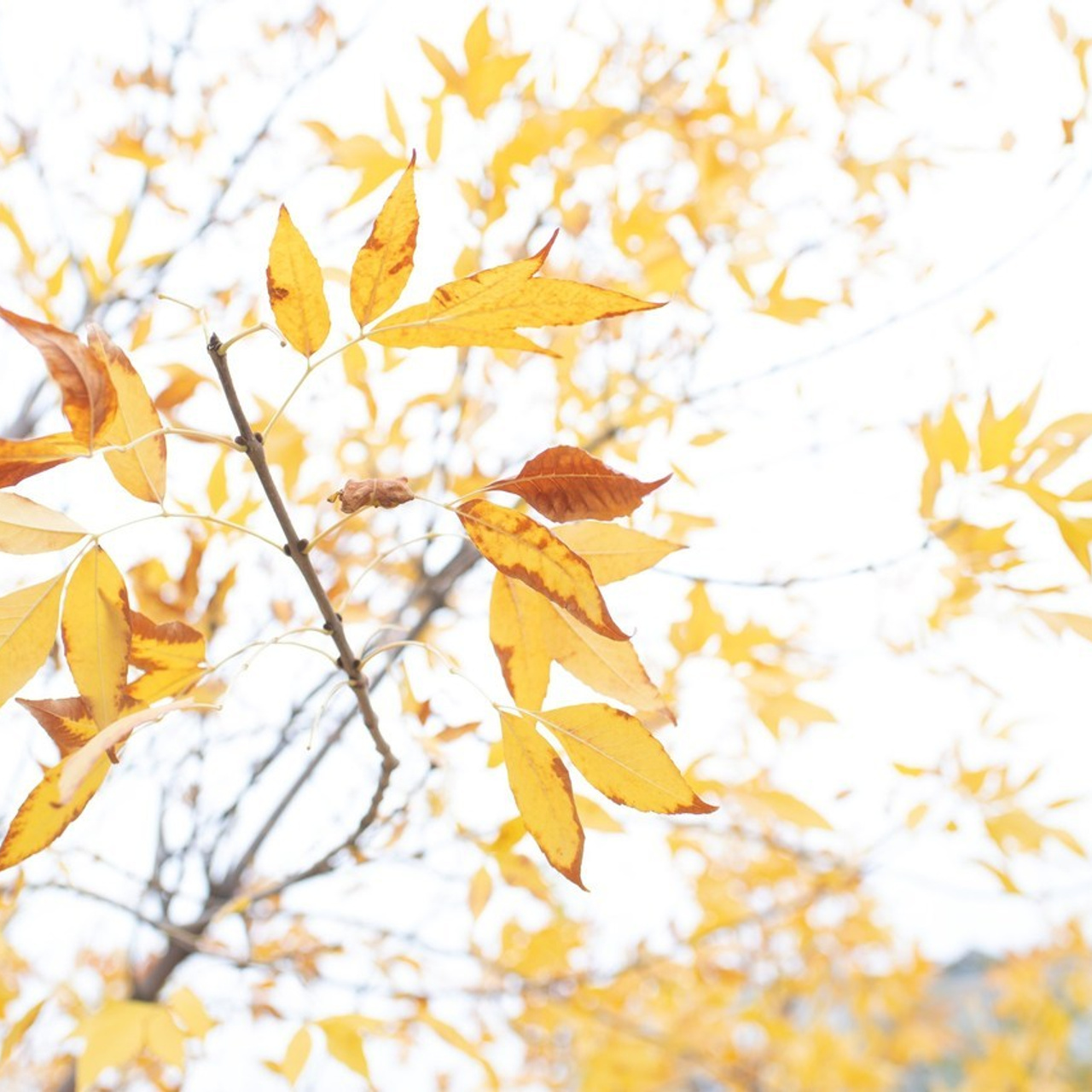 Отзывы. Семейный и детский фотограф в Атырау Доскалиев Ринат
