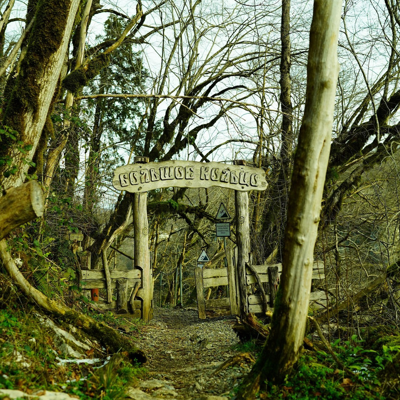 Отзывы. Фотограф в Сочи Елена Лисотина. Фототуры в Сочи