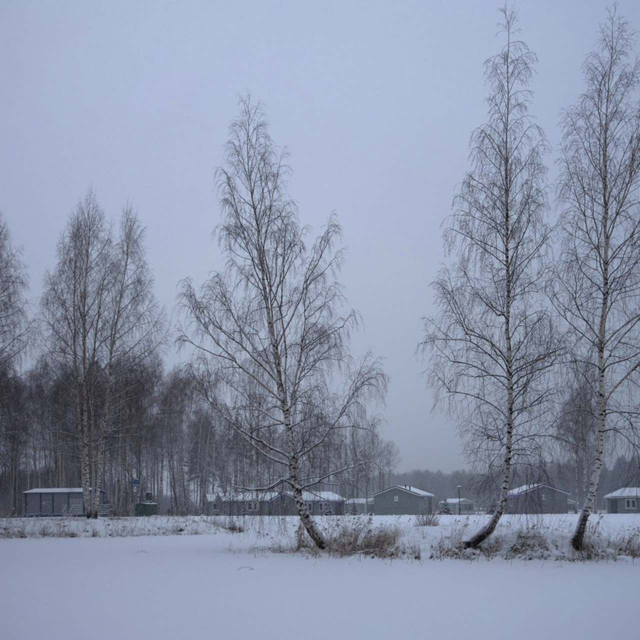 Отзывы. Фотограф Ольга Безобразова Завидово Москва Тверь