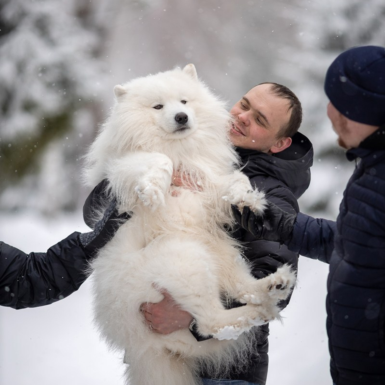Отзывы. Фотограф Ольга Безобразова Завидово Москва Тверь