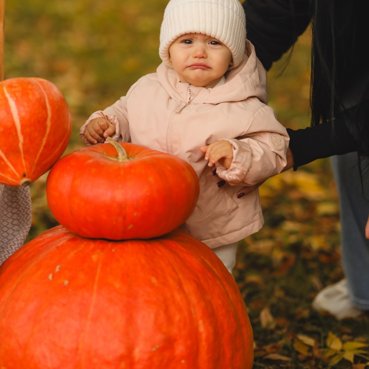 Отзывы. Ксения Исаева