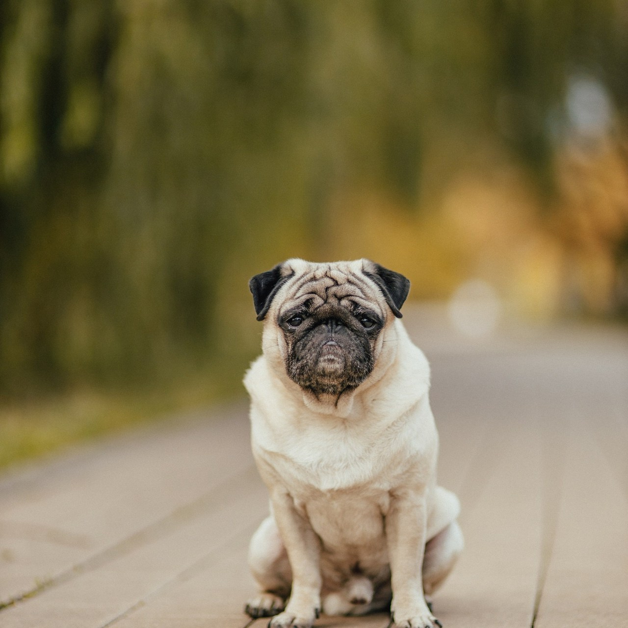 Отзывы. Фотограф в Москве