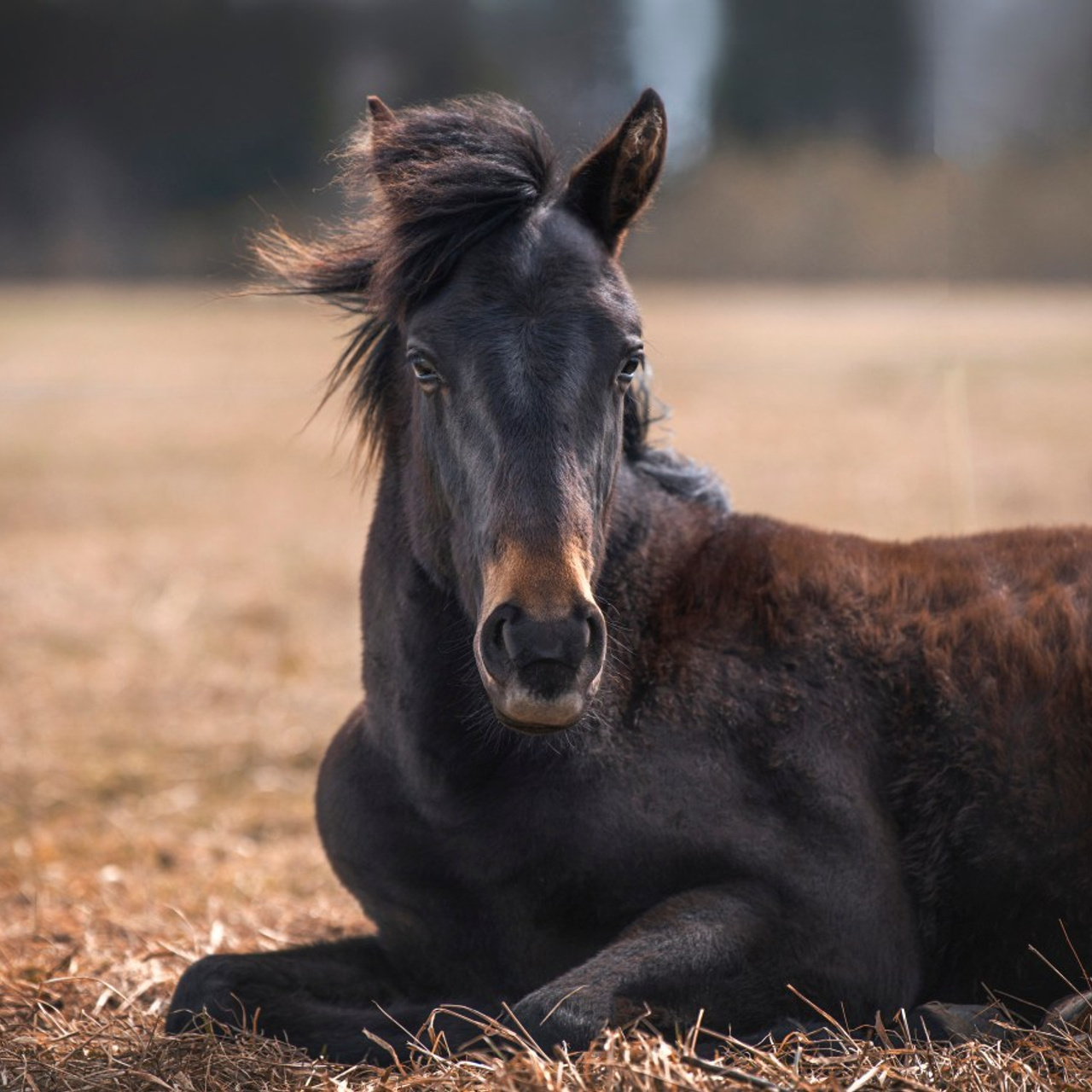 Отзывы. Sashkina.ru