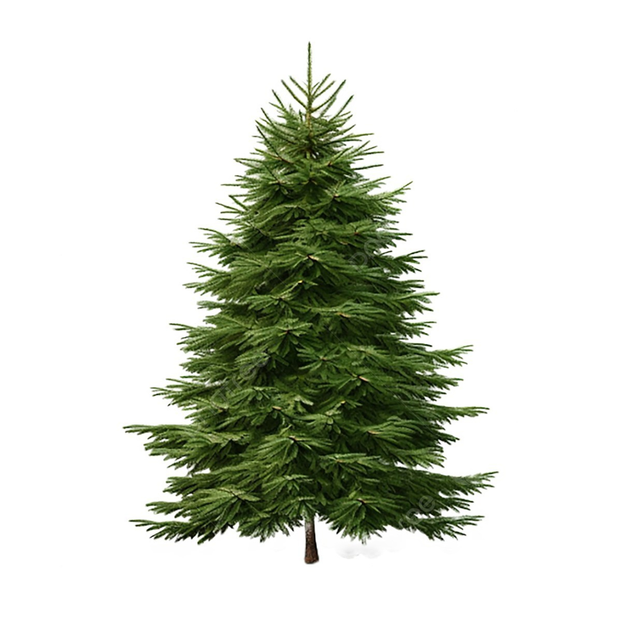 Отзывы. Выпускные альбомы Натальи Бутко: Новороссийск, Анапа, Геленджик