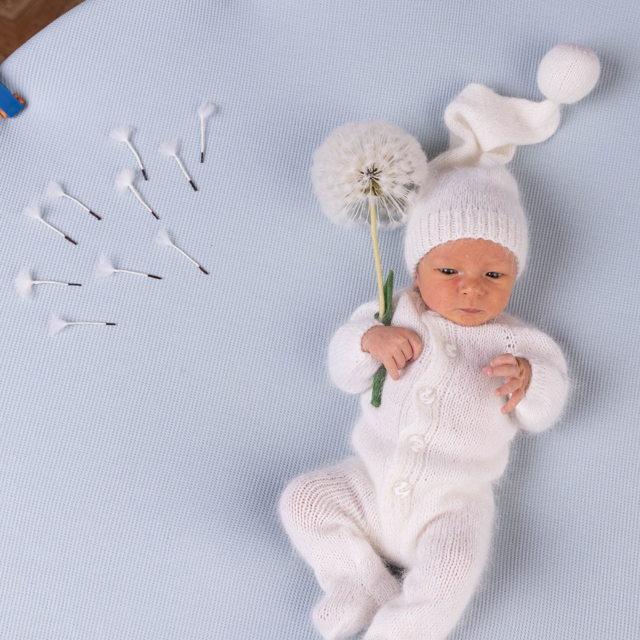 Отзывы. Детский фотограф Сургут Надежда Фриз