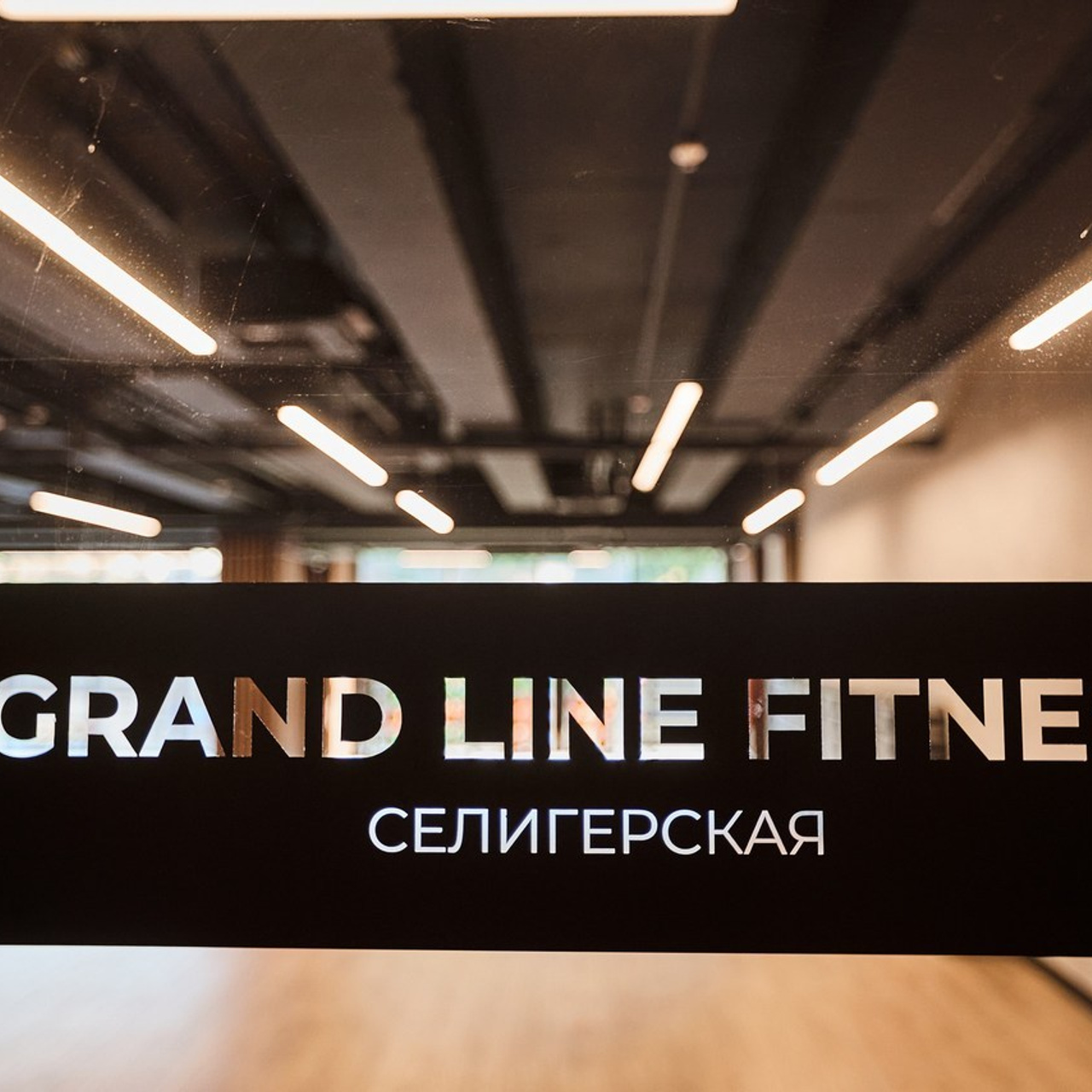 Отзывы о работе фотостудии/фотошколы «Миллион Портретов»