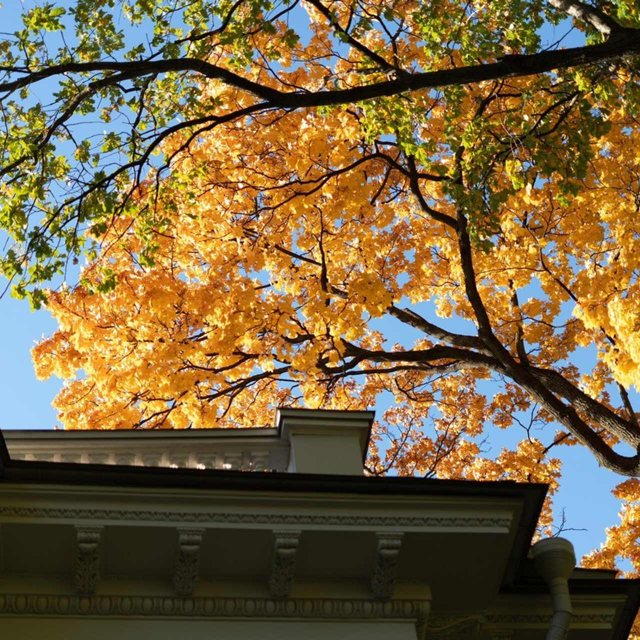 Отзывы. Семейный фотограф Анастасия Симакова, г. Санкт-Петербург