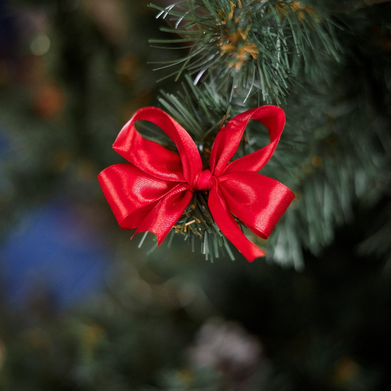 Отзывы. Фотограф в Кирове Инна Софронова