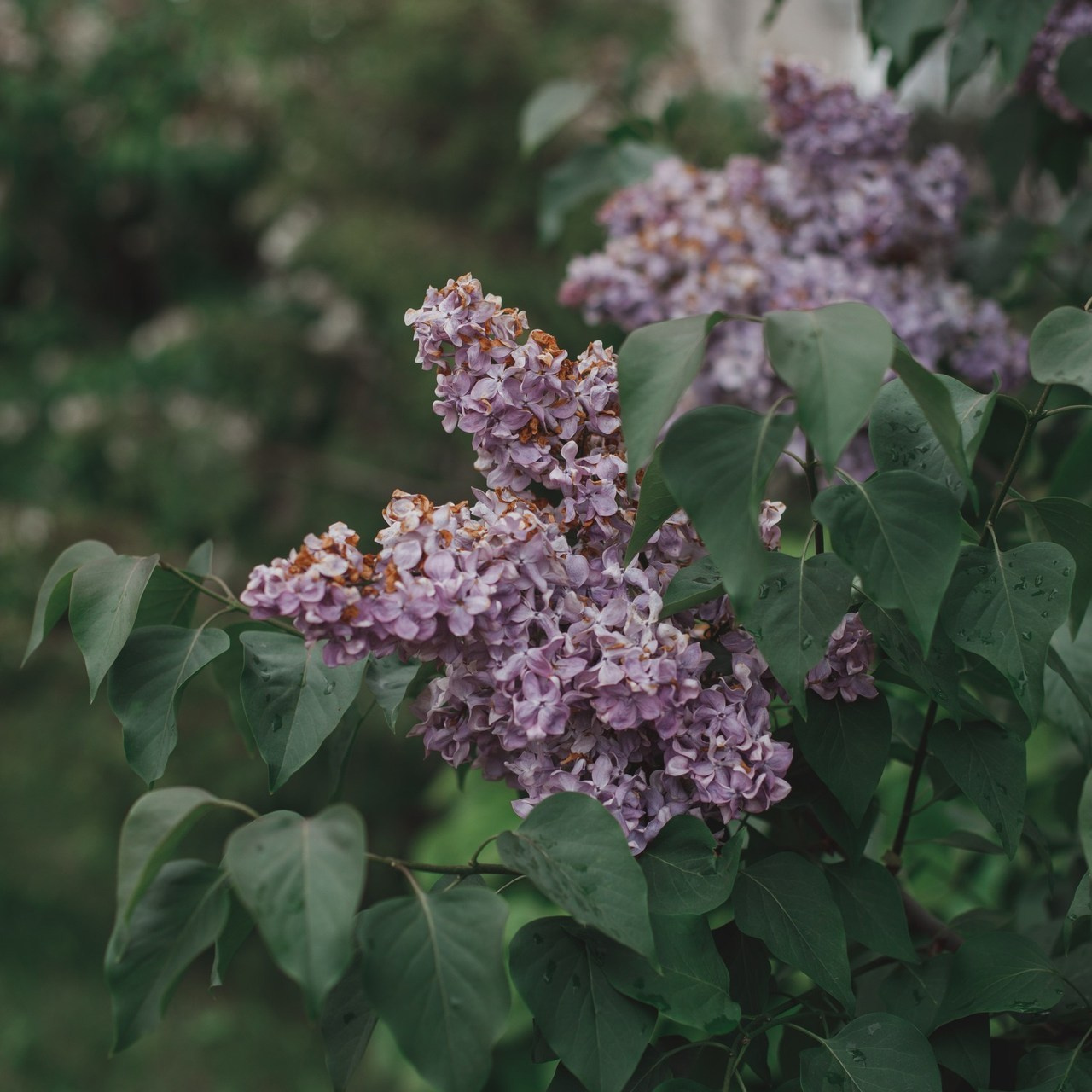 Отзывы. Свадебный и контент фотограф в Белгороде Ярослав Гаврилейченко