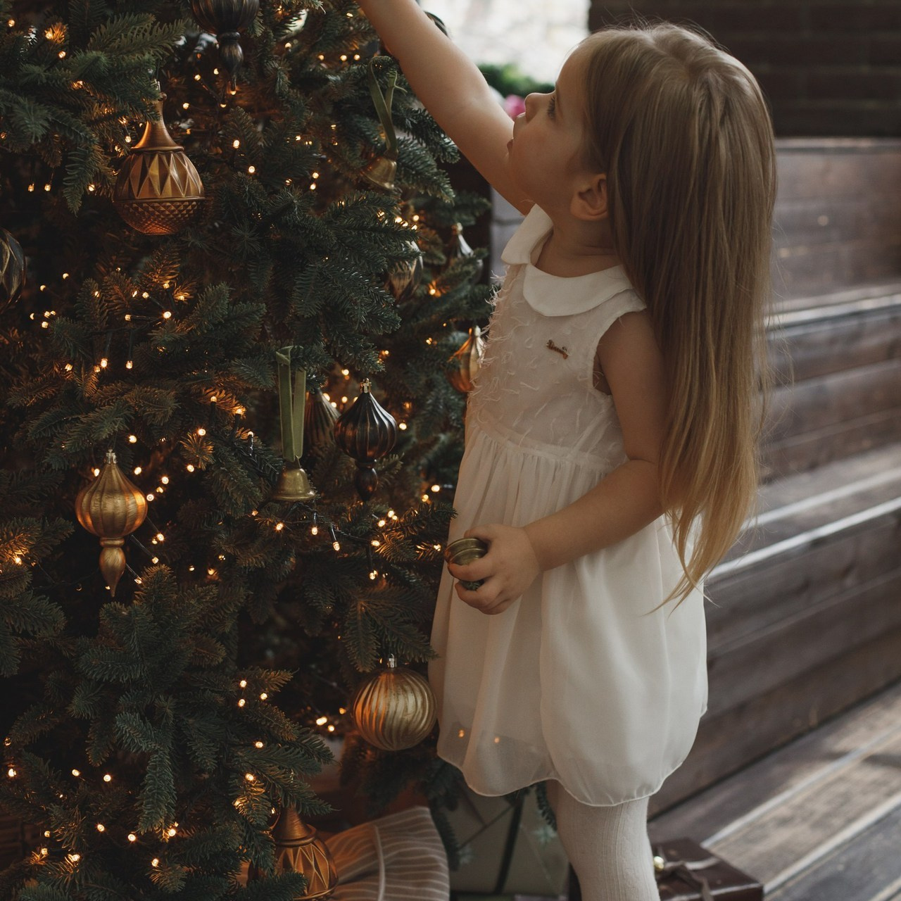 Отзывы. Свадебный и контент фотограф в Белгороде Ярослав Гаврилейченко