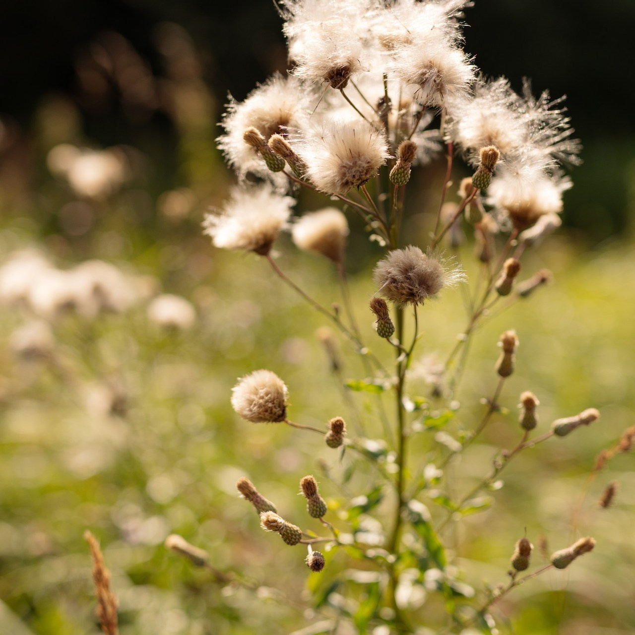 Отзывы. Главная