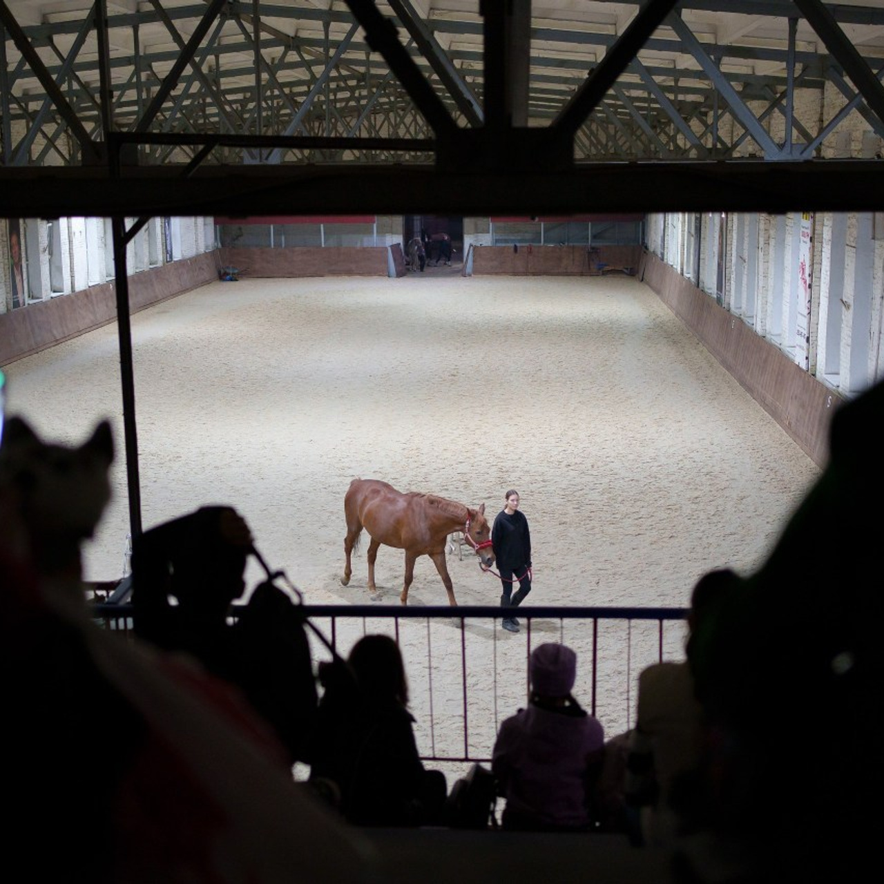 Отзывы. Фотограф: Юлия Абазьева «КРАСНОДАР»