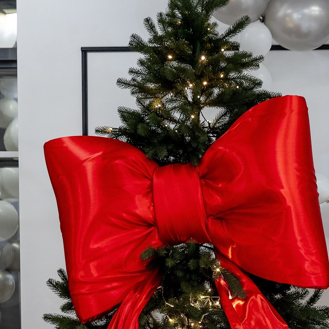 Отзывы. Фотограф в Красноярске