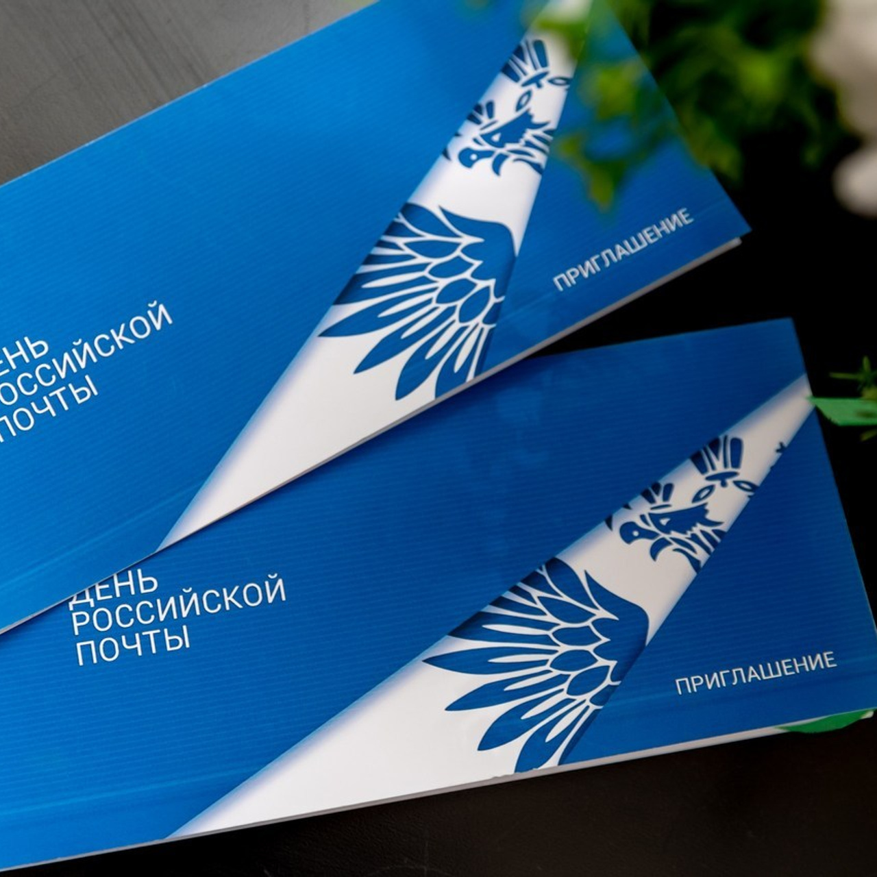 Отзывы. Фотограф в Красноярске