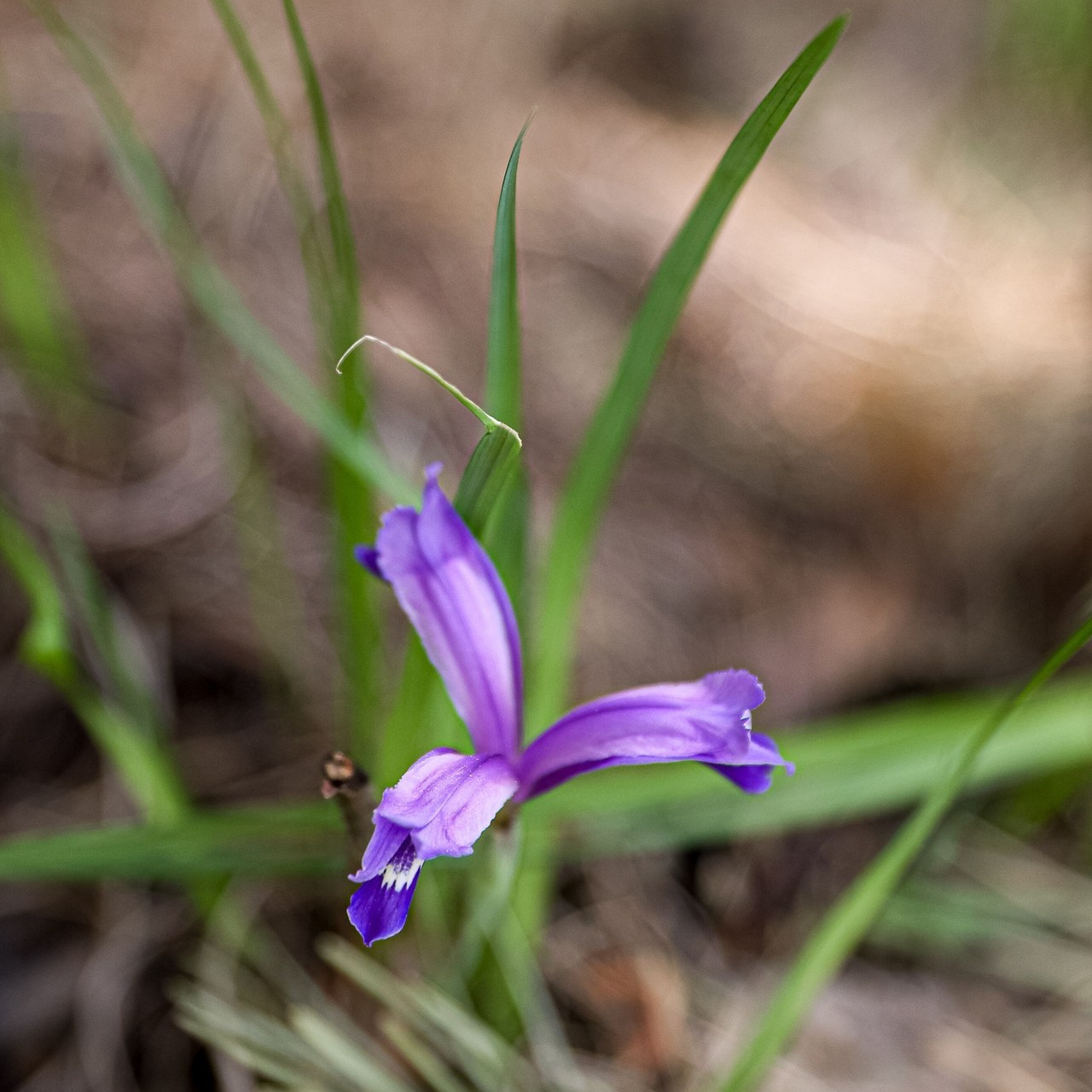 Отзывы. Фотограф в Красноярске