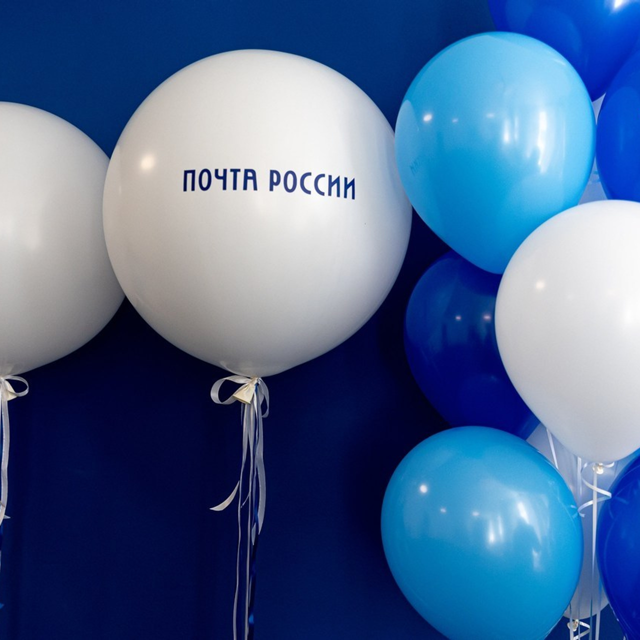 Отзывы. Фотограф в Красноярске