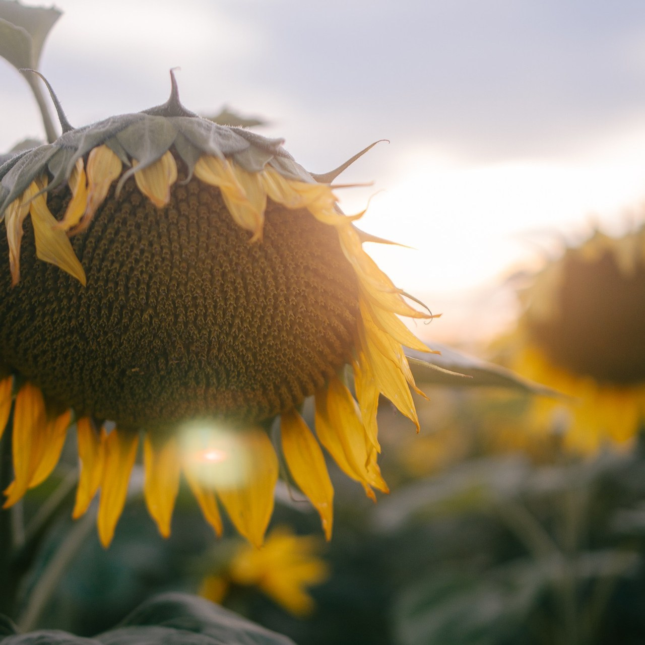 Отзывы. Фотограф / видеограф в Москве и Сочи Sofia Riversong