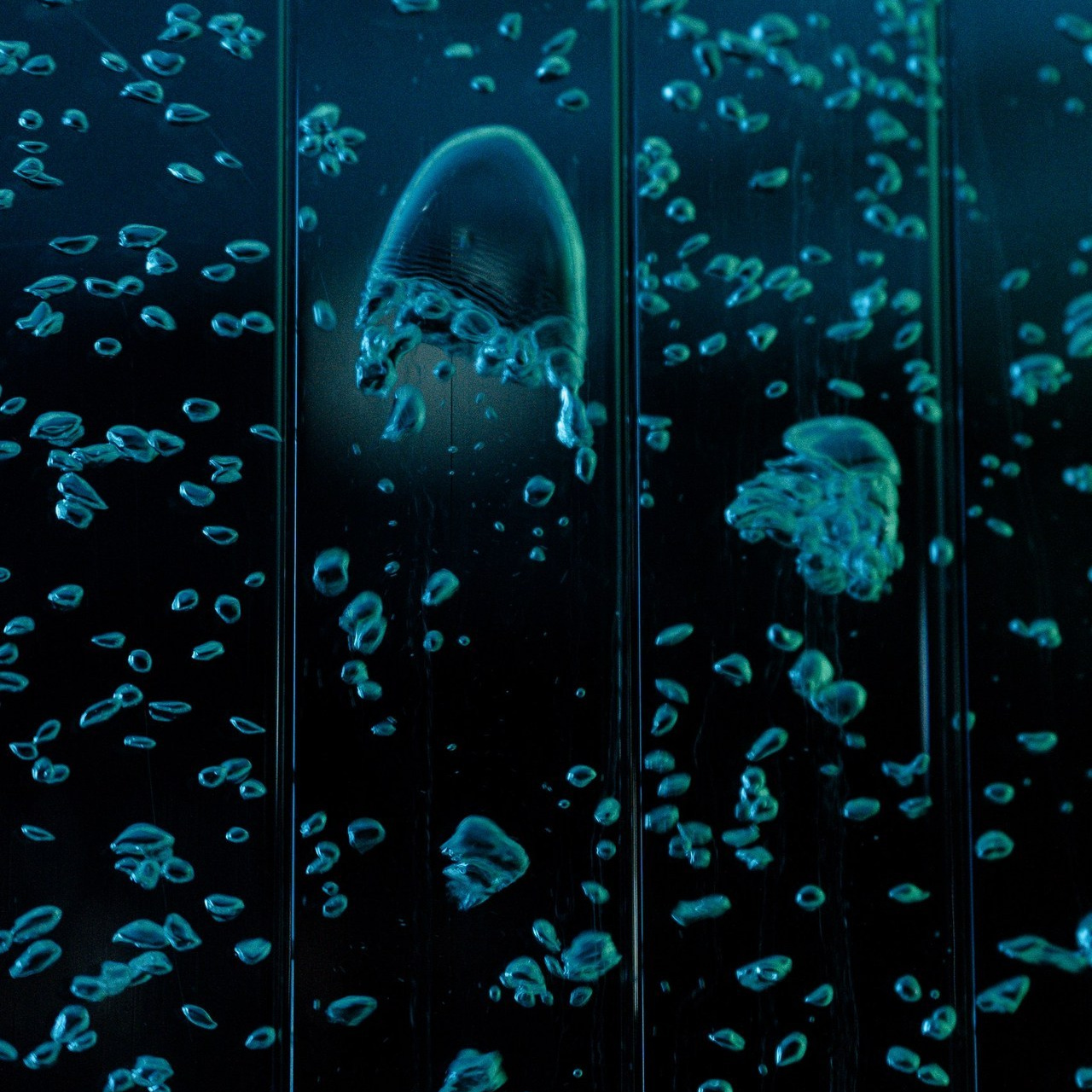 Отзывы. Гришин Фотограф Екатеринбург/Репортаж/ Корпоративная/Свадебная съемка