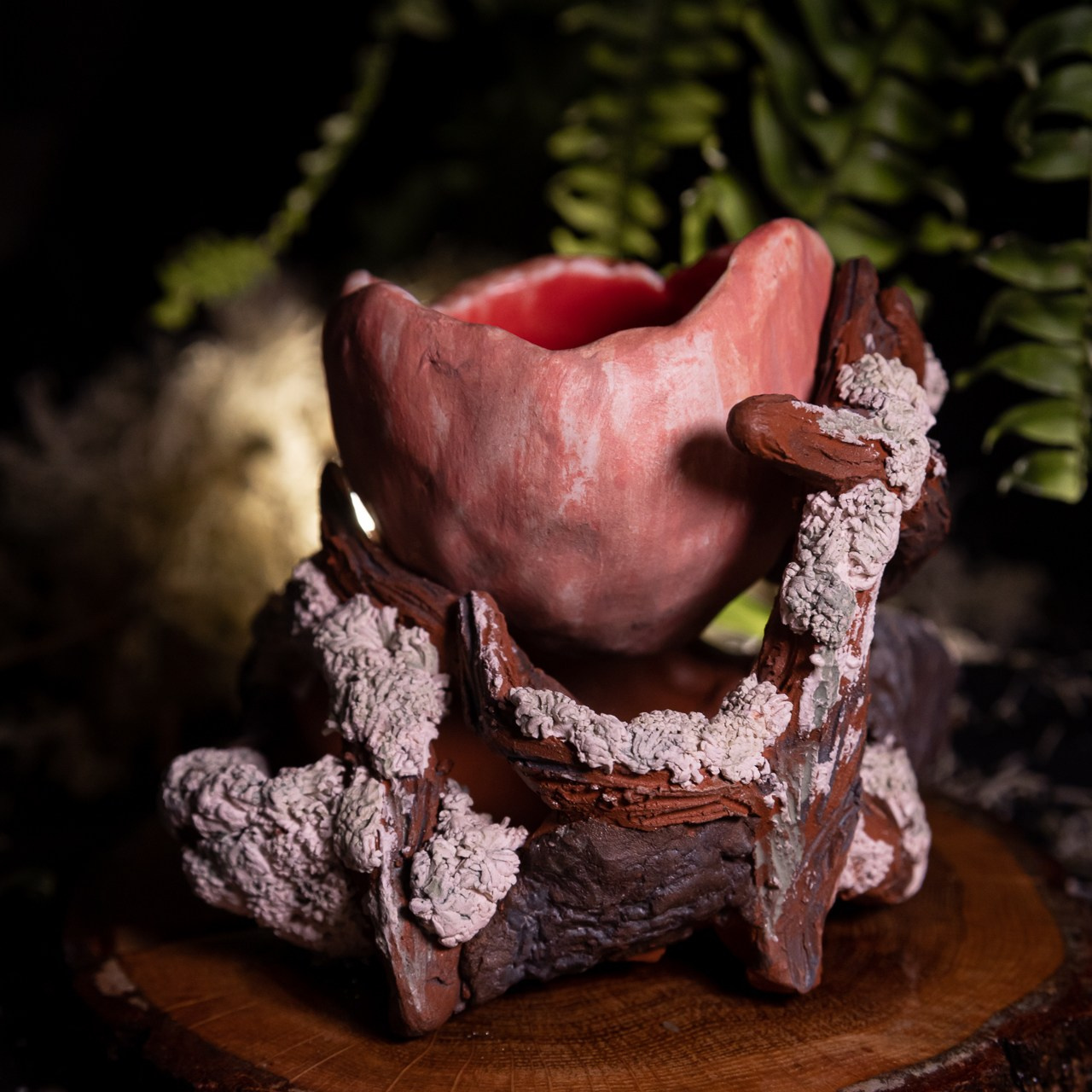 Горшок «Саркосцифа»  НЕТ В НАЛИЧИИ