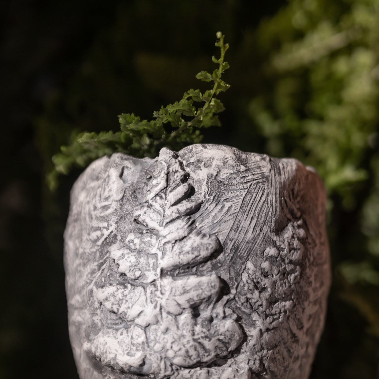 «Папоротники» Малый НЕТ В НАЛИЧИИ