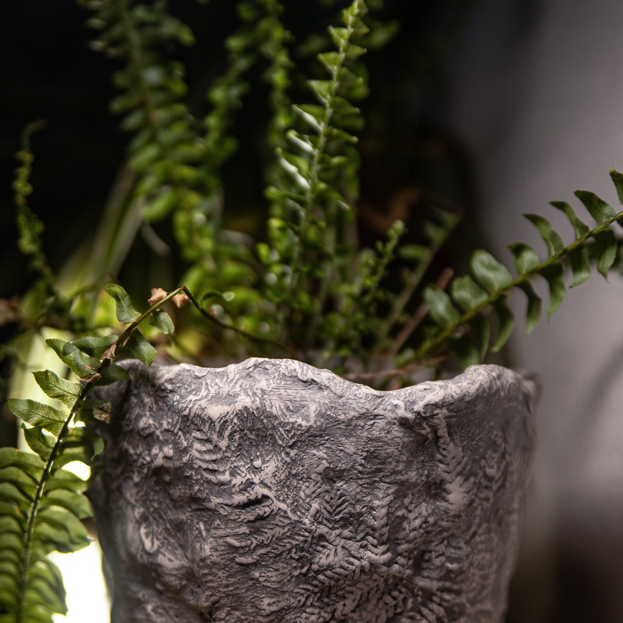 Кашпо «Папоротники» серое 2750 р