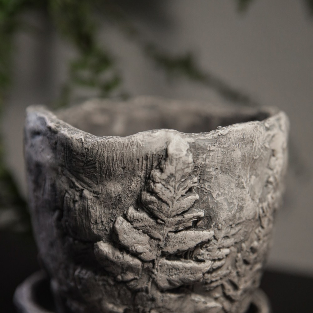 «Папоротники» Малый 1500 р