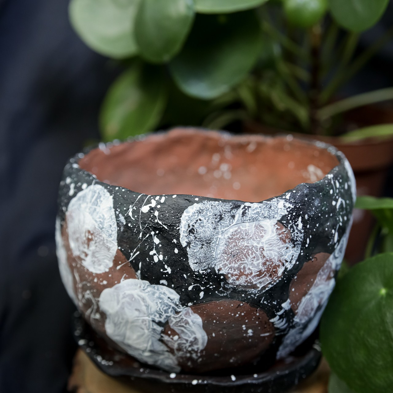 Горшок «Пилея» 1000 р.