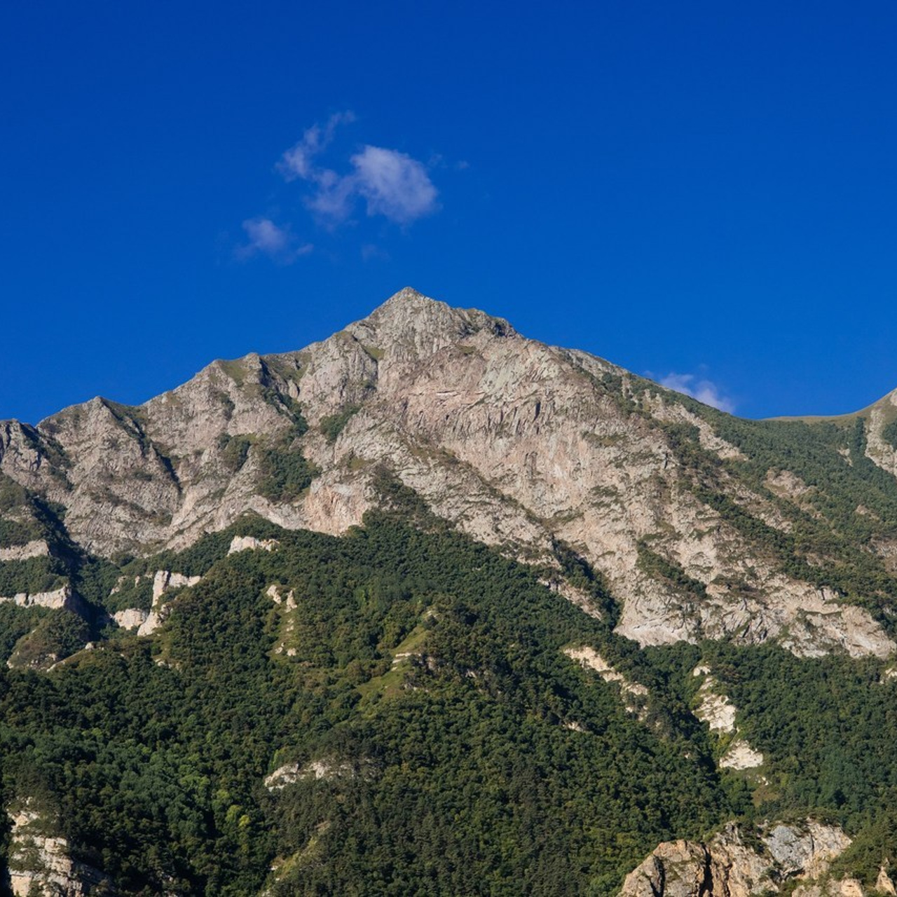 Обратная связь. Анастасия Куприянова фотограф Ростов-на-Дону