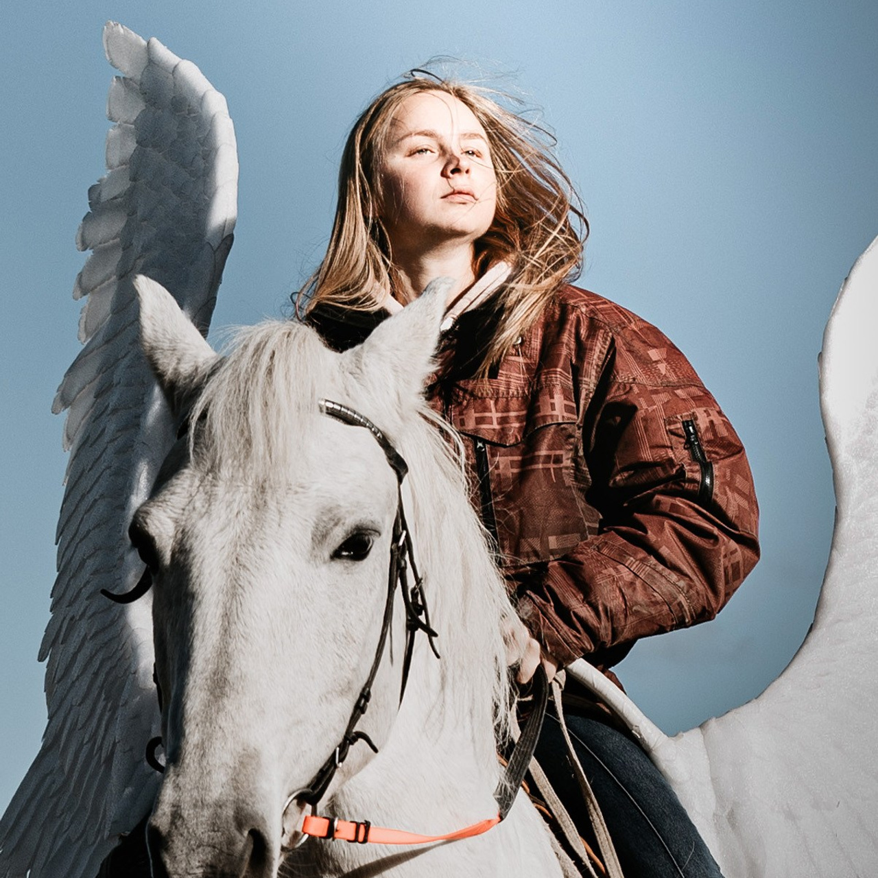 Конная школа