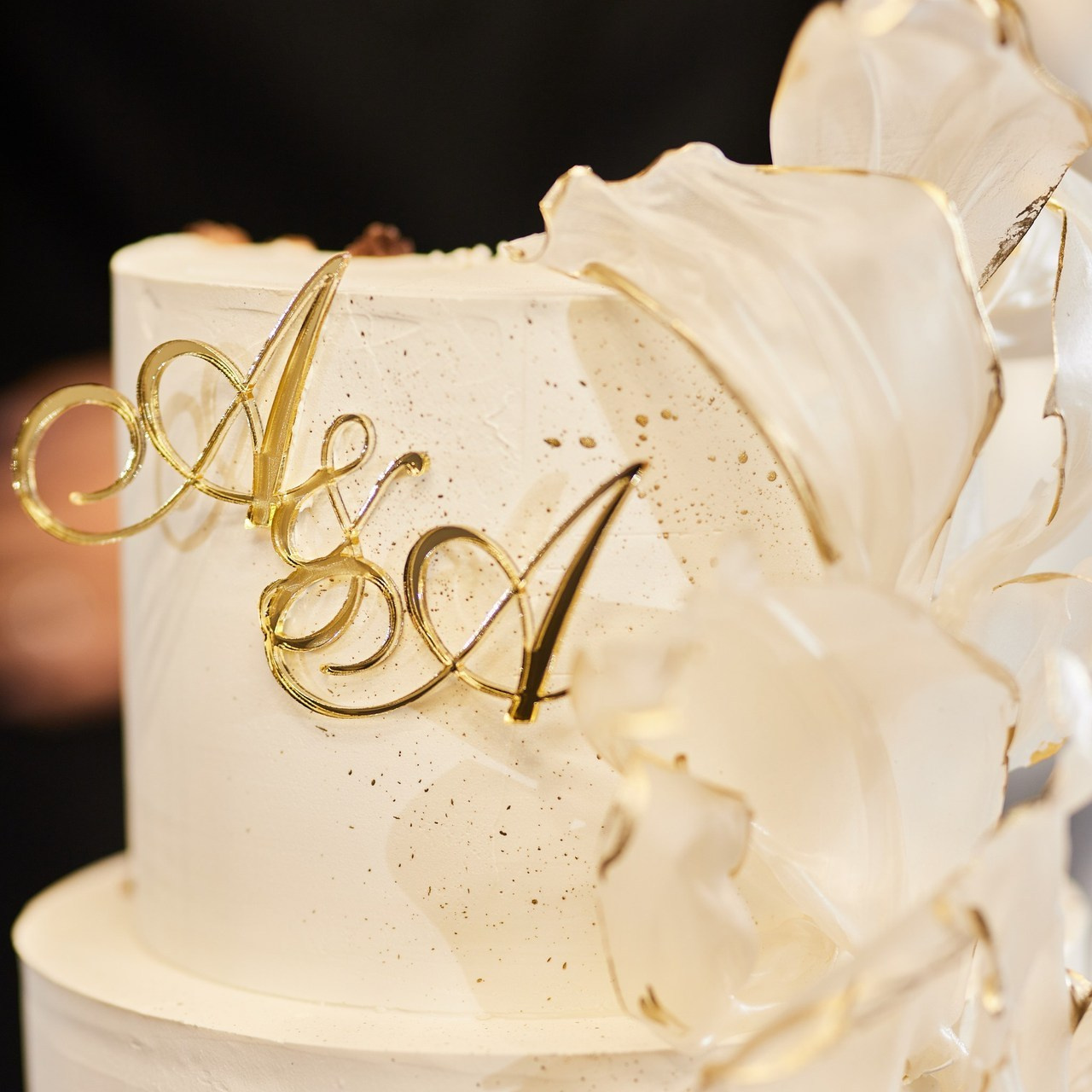 Отзывы. Panshinavarvara