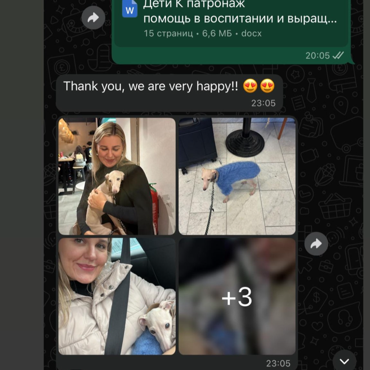 Отзывы от наших любимых владельцев. Профессиональный питомник левреток РКФ/FCI ASTI SAPPHIRE 💎 Сочи|Санкт-Петербург