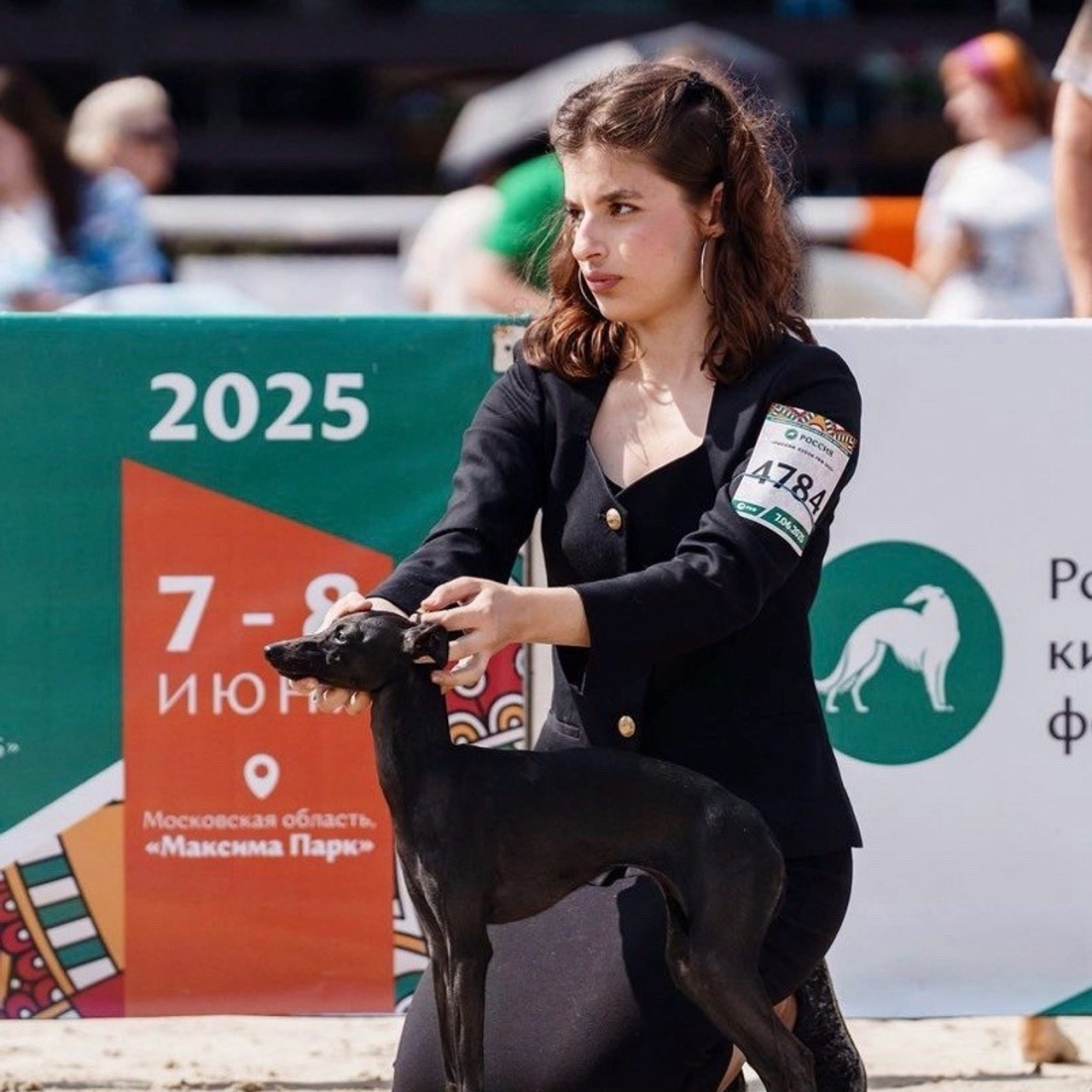 Черный бриллиант. Профессиональный питомник левреток РКФ/FCI ASTI SAPPHIRE 💎 Сочи|Санкт-Петербург