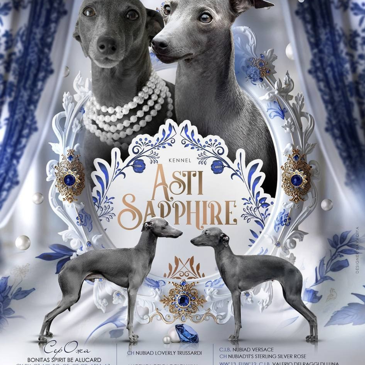 Jeremy & Jupiter. Профессиональный питомник левреток РКФ/FCI ASTI SAPPHIRE 💎 Сочи|Санкт-Петербург