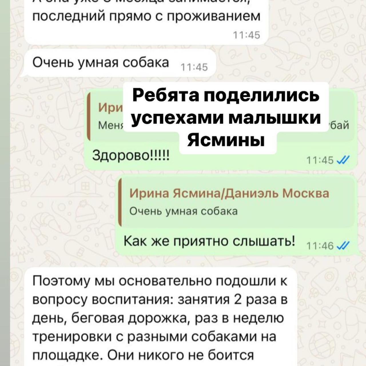 Отзывы от наших любимых владельцев. Профессиональный питомник левреток РКФ/FCI ASTI SAPPHIRE 💎 Сочи|Санкт-Петербург