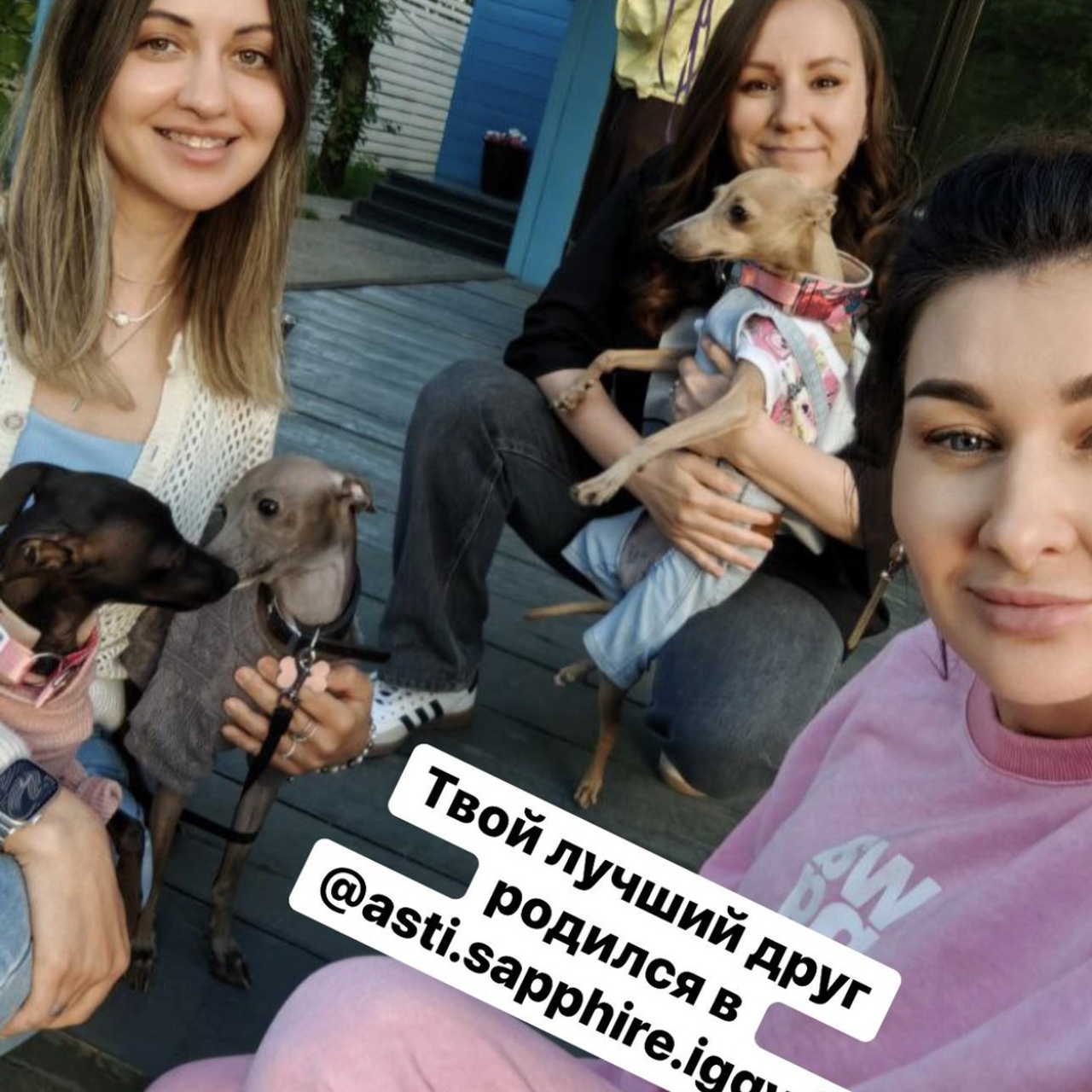 Отзывы от наших любимых владельцев. Профессиональный питомник левреток РКФ/FCI ASTI SAPPHIRE 💎 Сочи|Санкт-Петербург