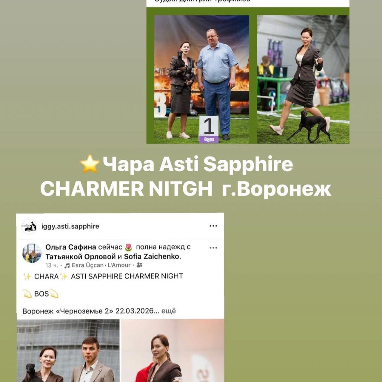 Итоги марта. Профессиональный питомник левреток РКФ/FCI ASTI SAPPHIRE 💎 Сочи|Санкт-Петербург