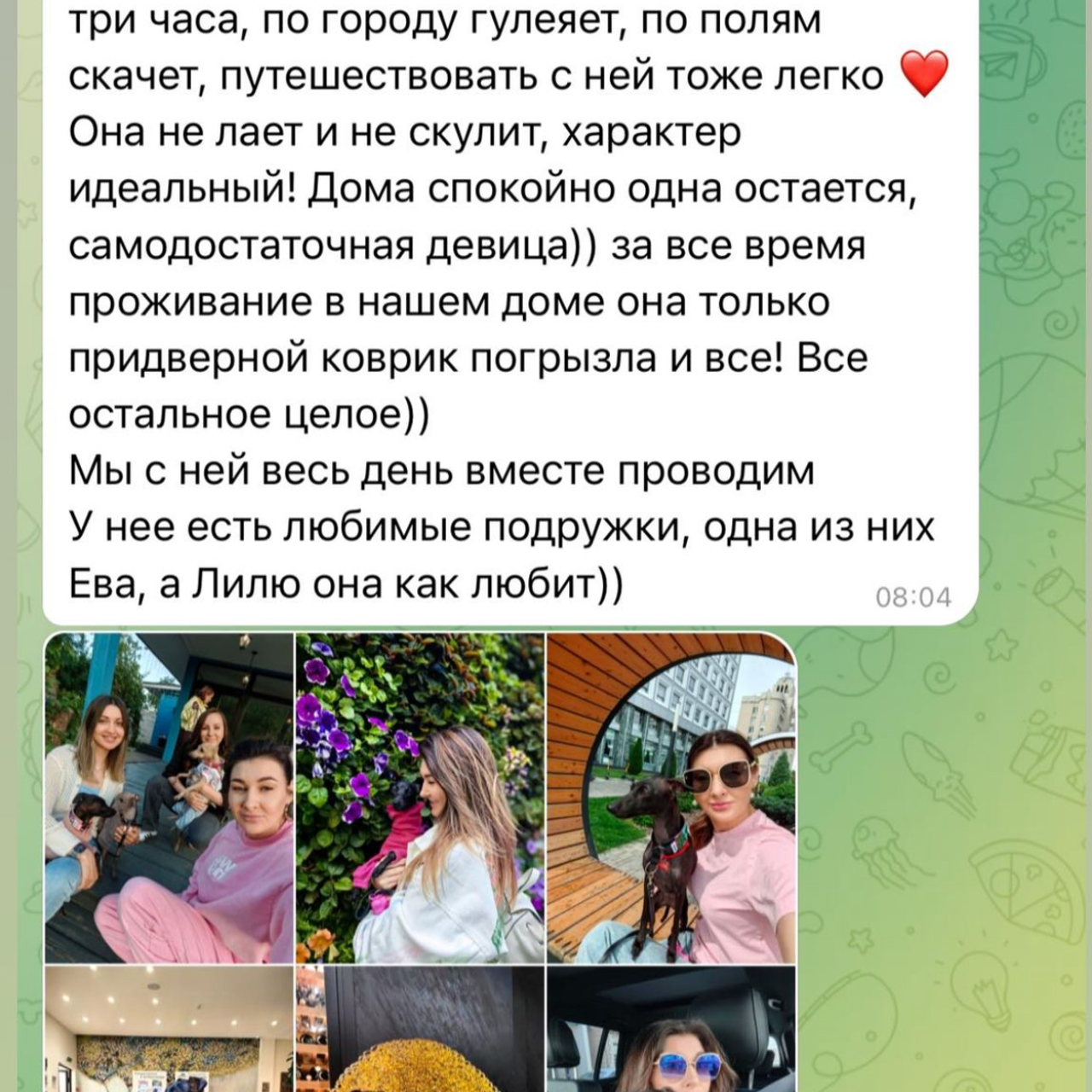 Отзывы от наших любимых владельцев. Профессиональный питомник левреток РКФ/FCI ASTI SAPPHIRE 💎 Сочи|Санкт-Петербург