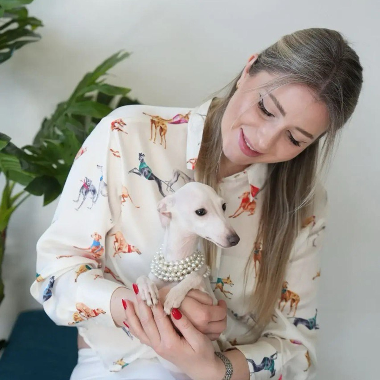 Asti Sapphire Yaasiina Laysan Cerulian. Профессиональный питомник левреток РКФ/FCI ASTI SAPPHIRE 💎 Сочи|Санкт-Петербург