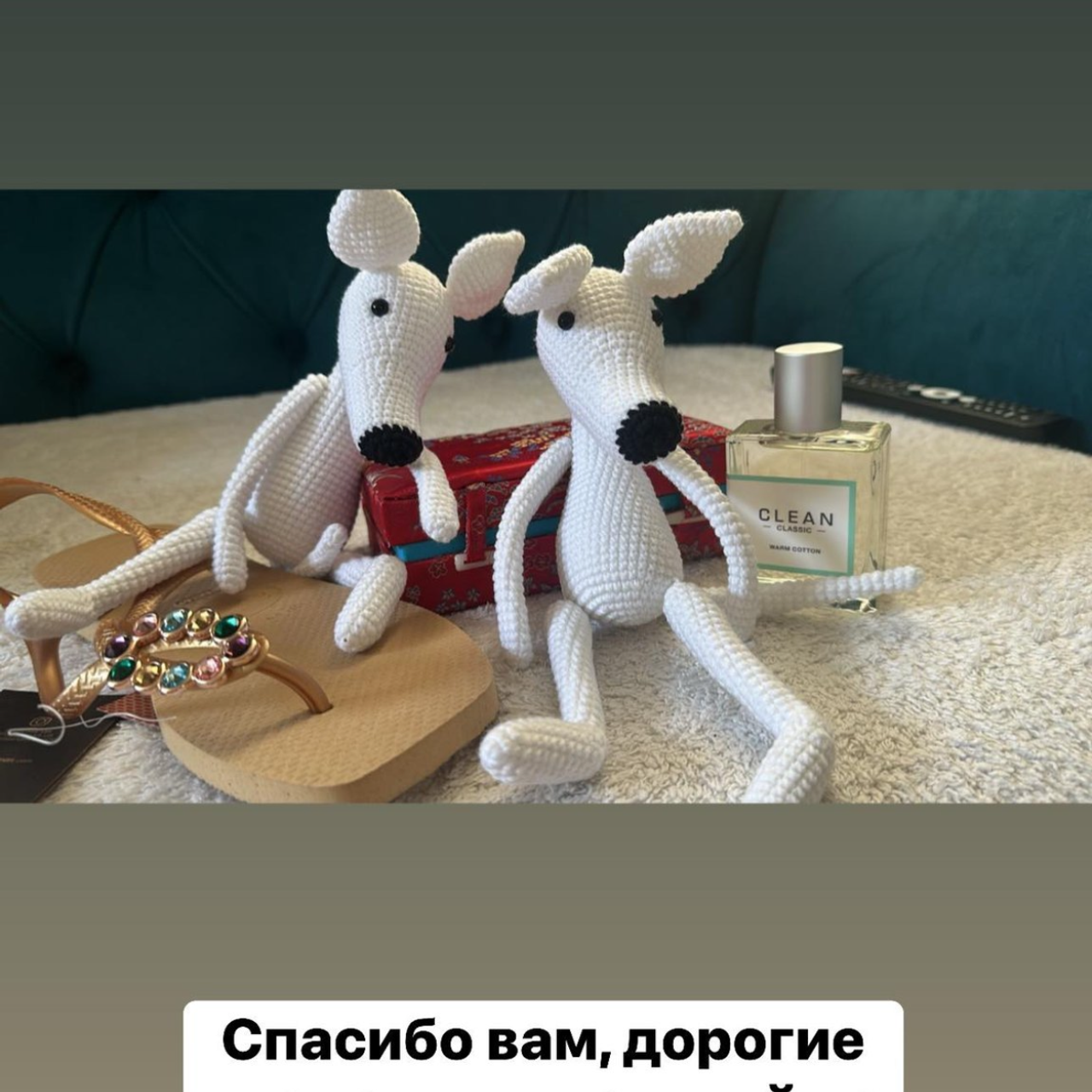 Отзывы от наших любимых владельцев. Профессиональный питомник левреток РКФ/FCI ASTI SAPPHIRE 💎 Сочи|Санкт-Петербург