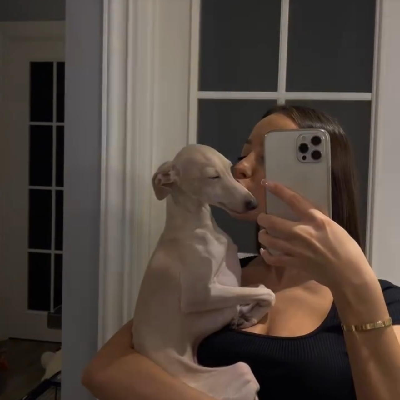 Отзывы от наших любимых владельцев. Профессиональный питомник левреток РКФ/FCI ASTI SAPPHIRE 💎 Сочи|Санкт-Петербург