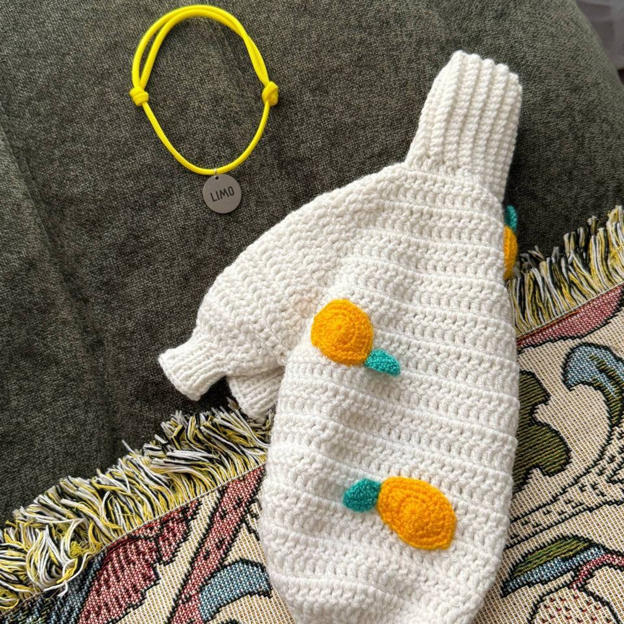 Празднуем дни Рождения. Профессиональный питомник левреток РКФ/FCI ASTI SAPPHIRE 💎 Сочи|Санкт-Петербург