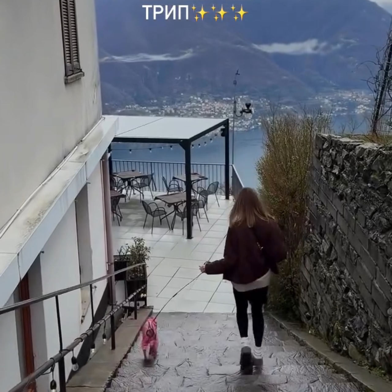 Отзывы от наших любимых владельцев. Профессиональный питомник левреток РКФ/FCI ASTI SAPPHIRE 💎 Сочи|Санкт-Петербург