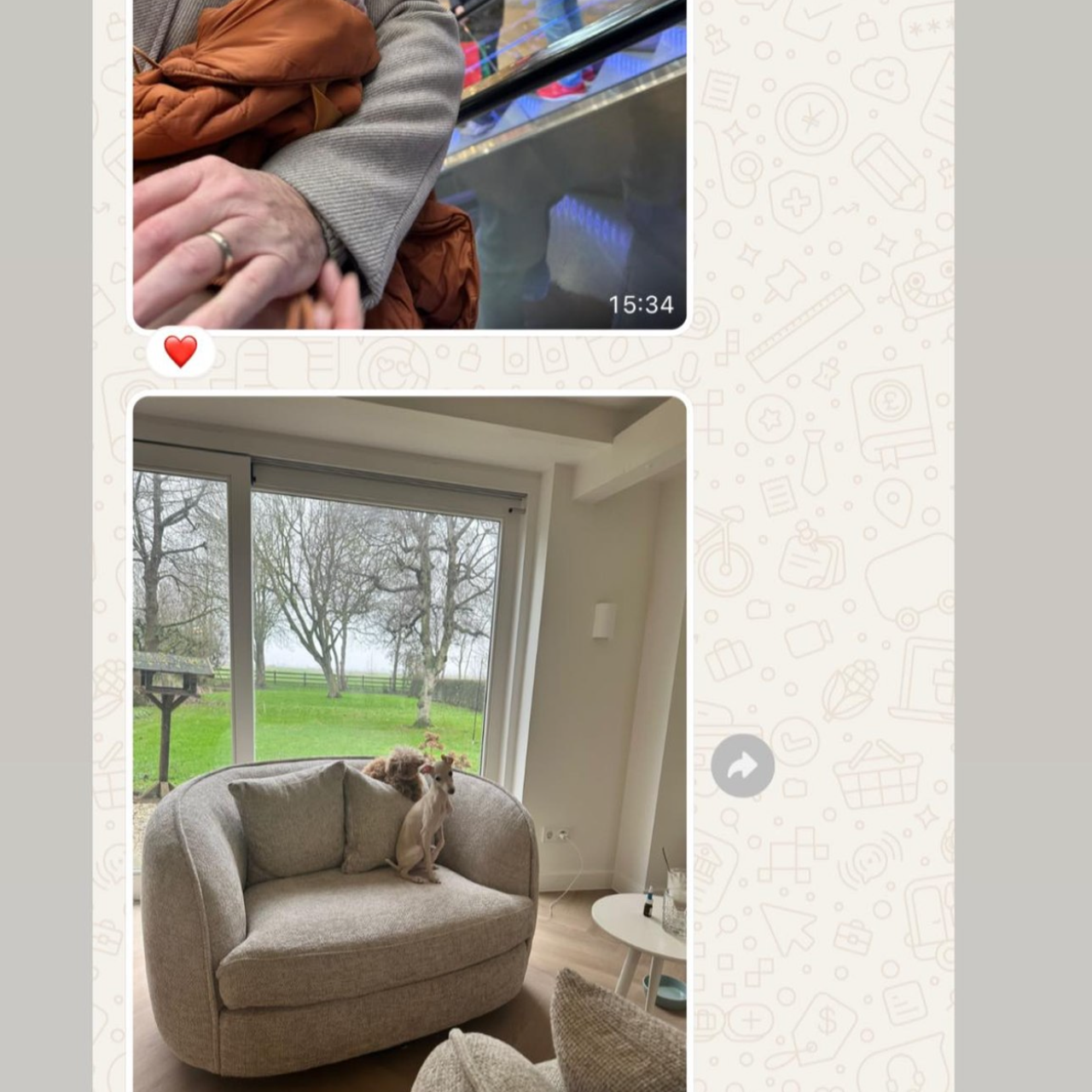 Отзывы от наших любимых владельцев. Профессиональный питомник левреток РКФ/FCI ASTI SAPPHIRE 💎 Сочи|Санкт-Петербург