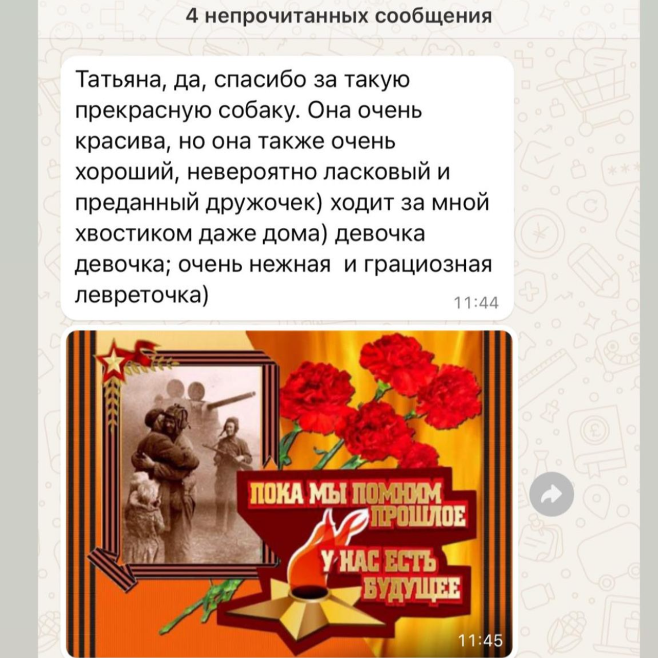 Отзывы от наших любимых владельцев. Профессиональный питомник левреток РКФ/FCI ASTI SAPPHIRE 💎 Сочи|Санкт-Петербург