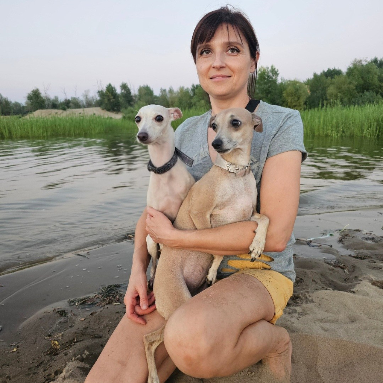 Отзывы. Профессиональный питомник левреток РКФ/FCI ASTI SAPPHIRE 💎 Сочи|Санкт-Петербург