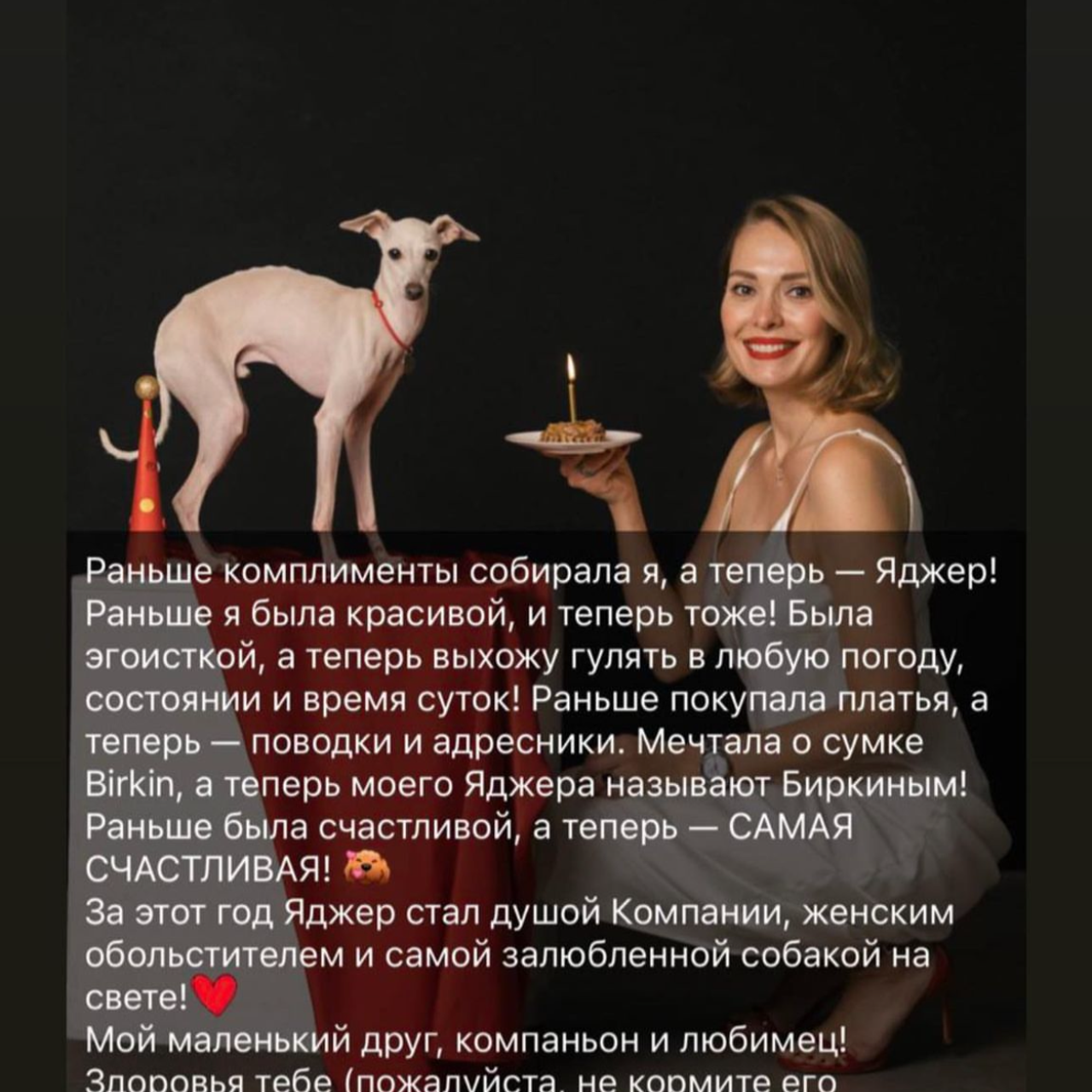 Отзывы от наших любимых владельцев. Профессиональный питомник левреток РКФ/FCI ASTI SAPPHIRE 💎 Сочи|Санкт-Петербург