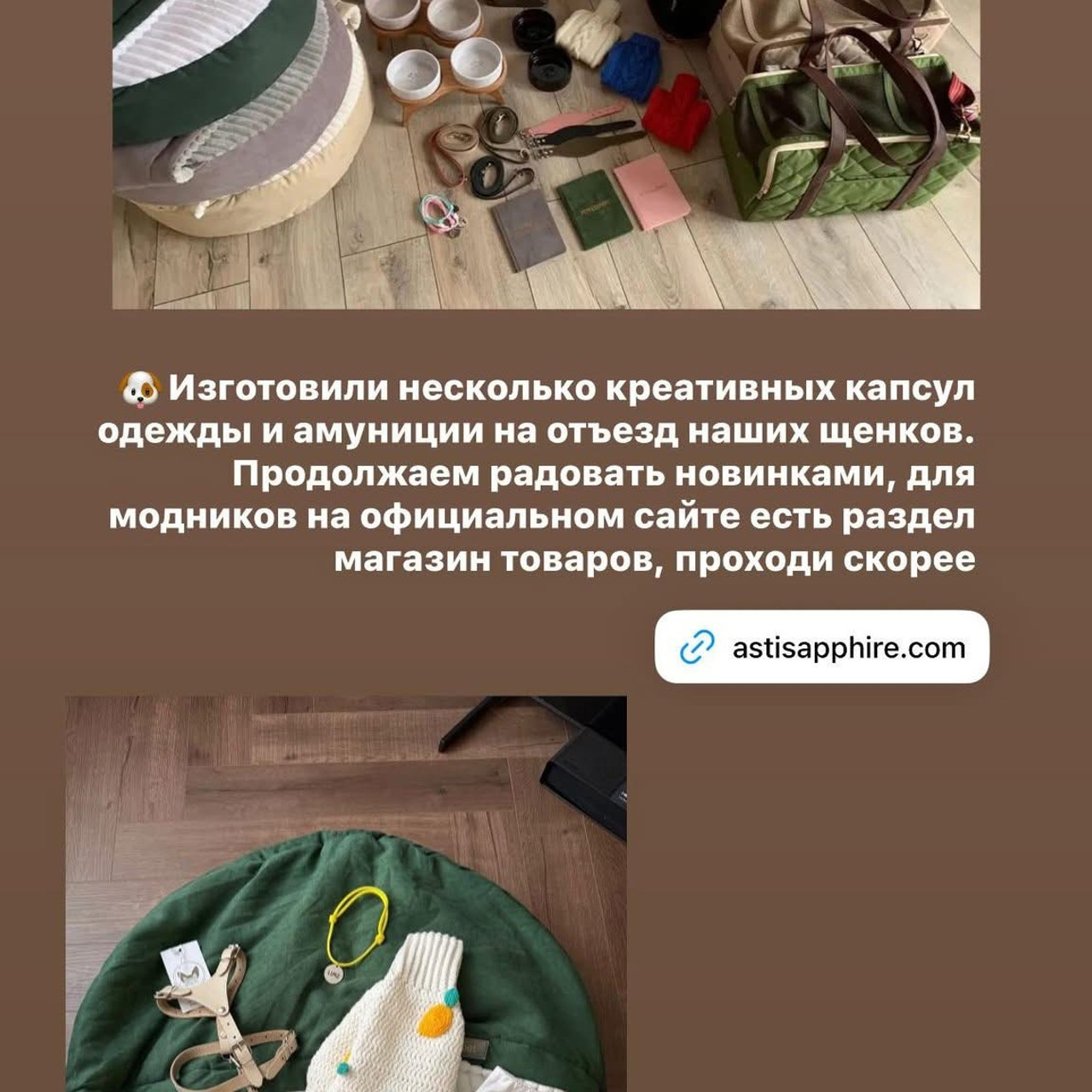 Итоги марта. Профессиональный питомник левреток РКФ/FCI ASTI SAPPHIRE 💎 Сочи|Санкт-Петербург