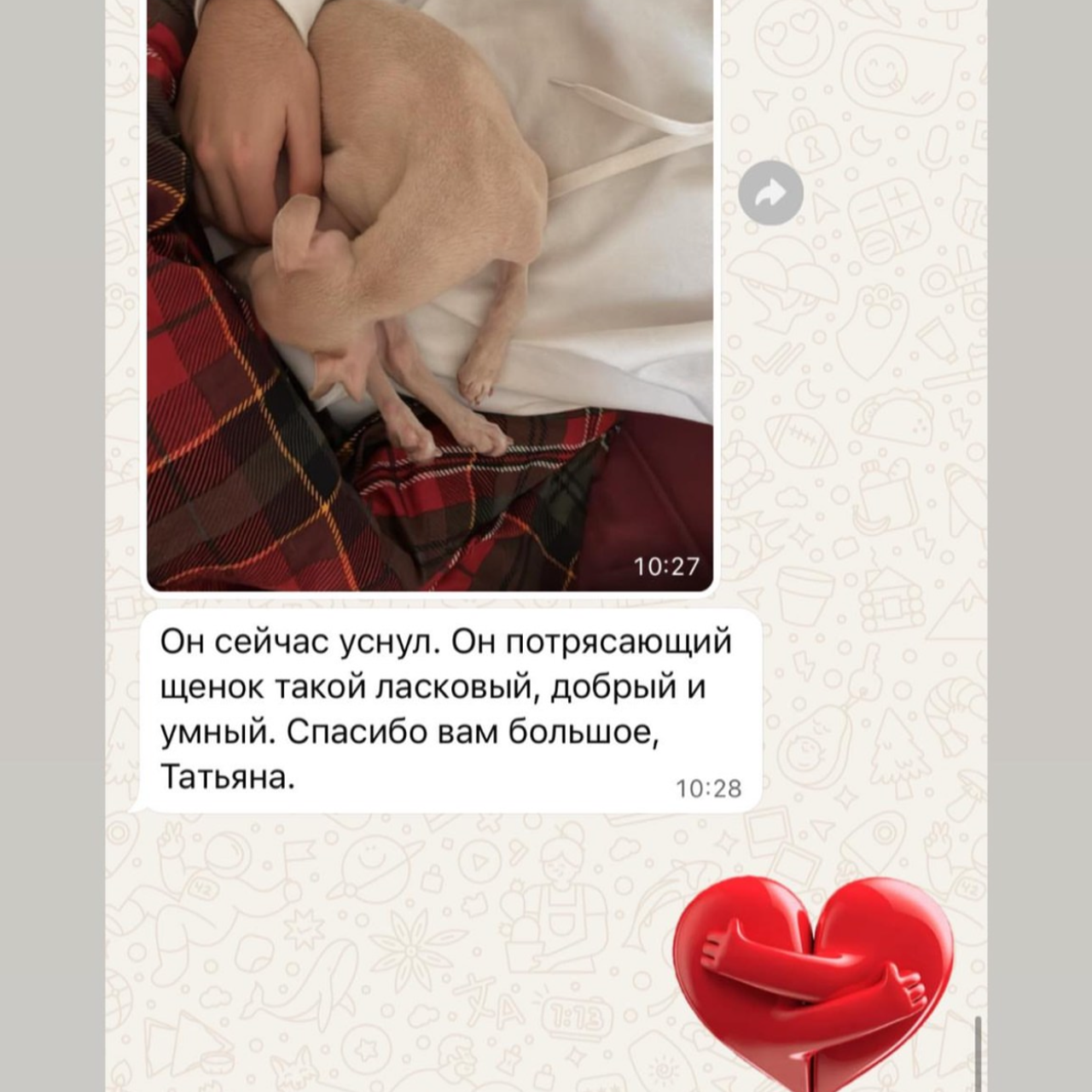 Отзывы от наших любимых владельцев. Профессиональный питомник левреток РКФ/FCI ASTI SAPPHIRE 💎 Сочи|Санкт-Петербург