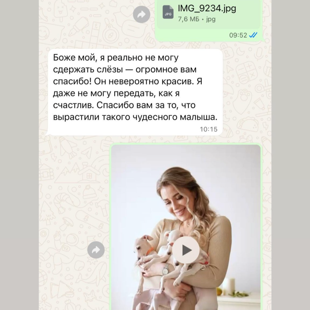 Отзывы от наших любимых владельцев. Профессиональный питомник левреток РКФ/FCI ASTI SAPPHIRE 💎 Сочи|Санкт-Петербург